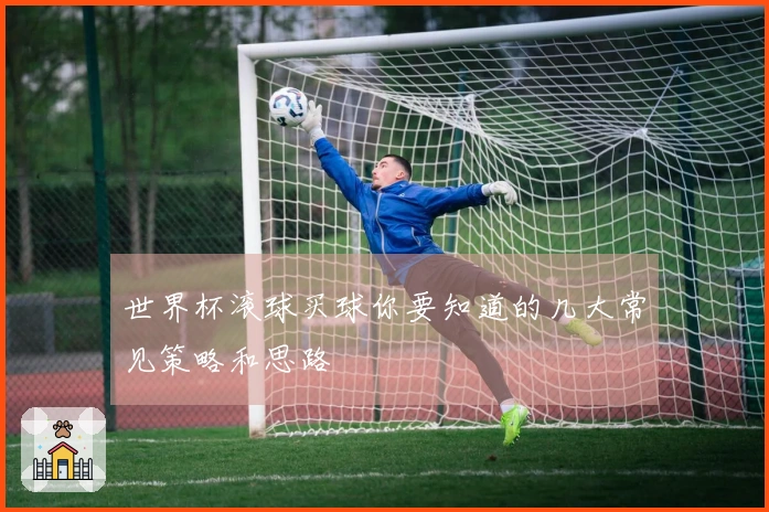 世界杯滚球买球你要知道的几大常见策略和思路