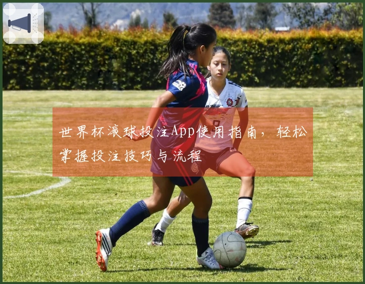 世界杯滚球投注App使用指南，轻松掌握投注技巧与流程