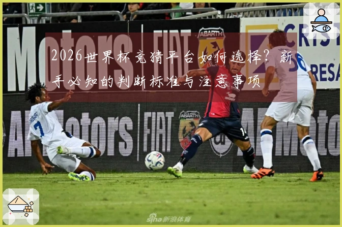 2026世界杯竞猜平台如何选择？新手必知的判断标准与注意事项