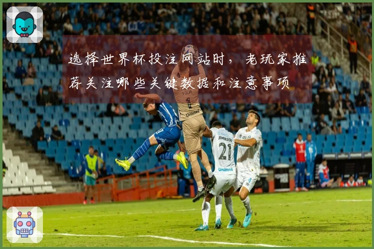 选择世界杯投注网站时，老玩家推荐关注哪些关键数据和注意事项