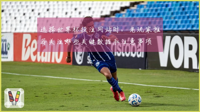 选择世界杯投注网站时，老玩家推荐关注哪些关键数据和注意事项