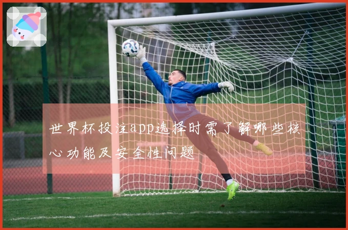 世界杯投注app选择时需了解哪些核心功能及安全性问题
