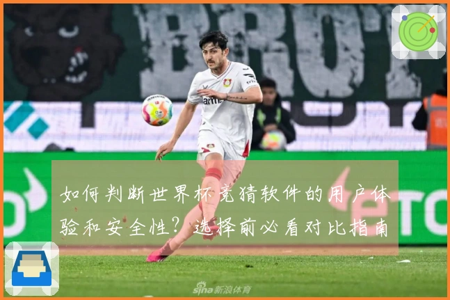 如何判断世界杯竞猜软件的用户体验和安全性？选择前必看对比指南