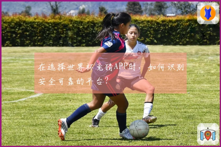 在选择世界杯竞猜APP时，如何识别安全可靠的平台？